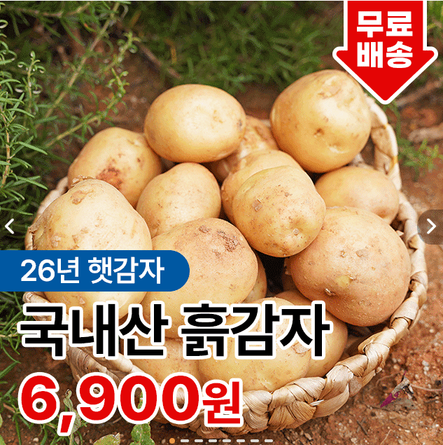 국내산 햇감자 3kg