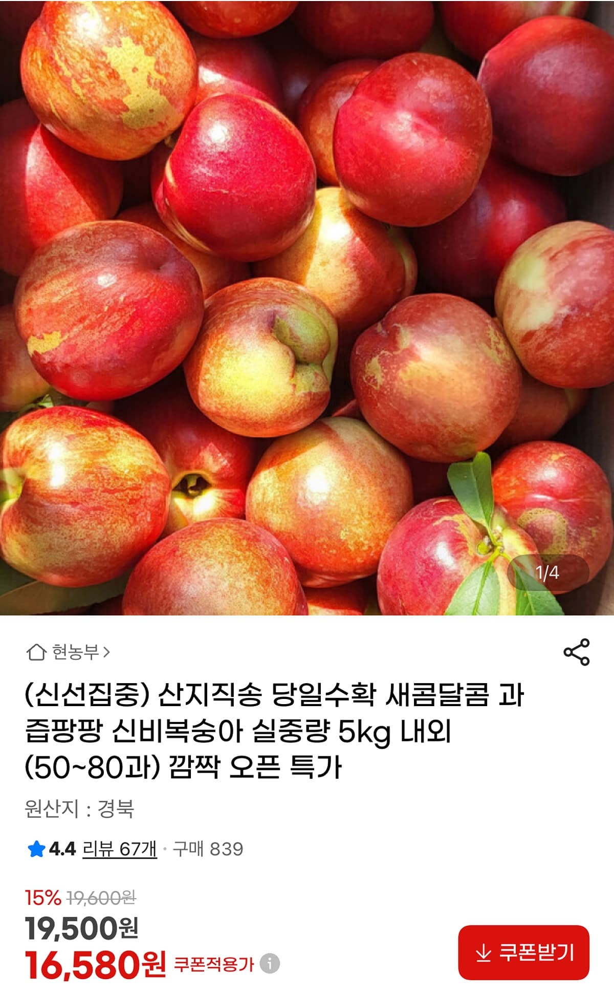신비복숭아 5kg