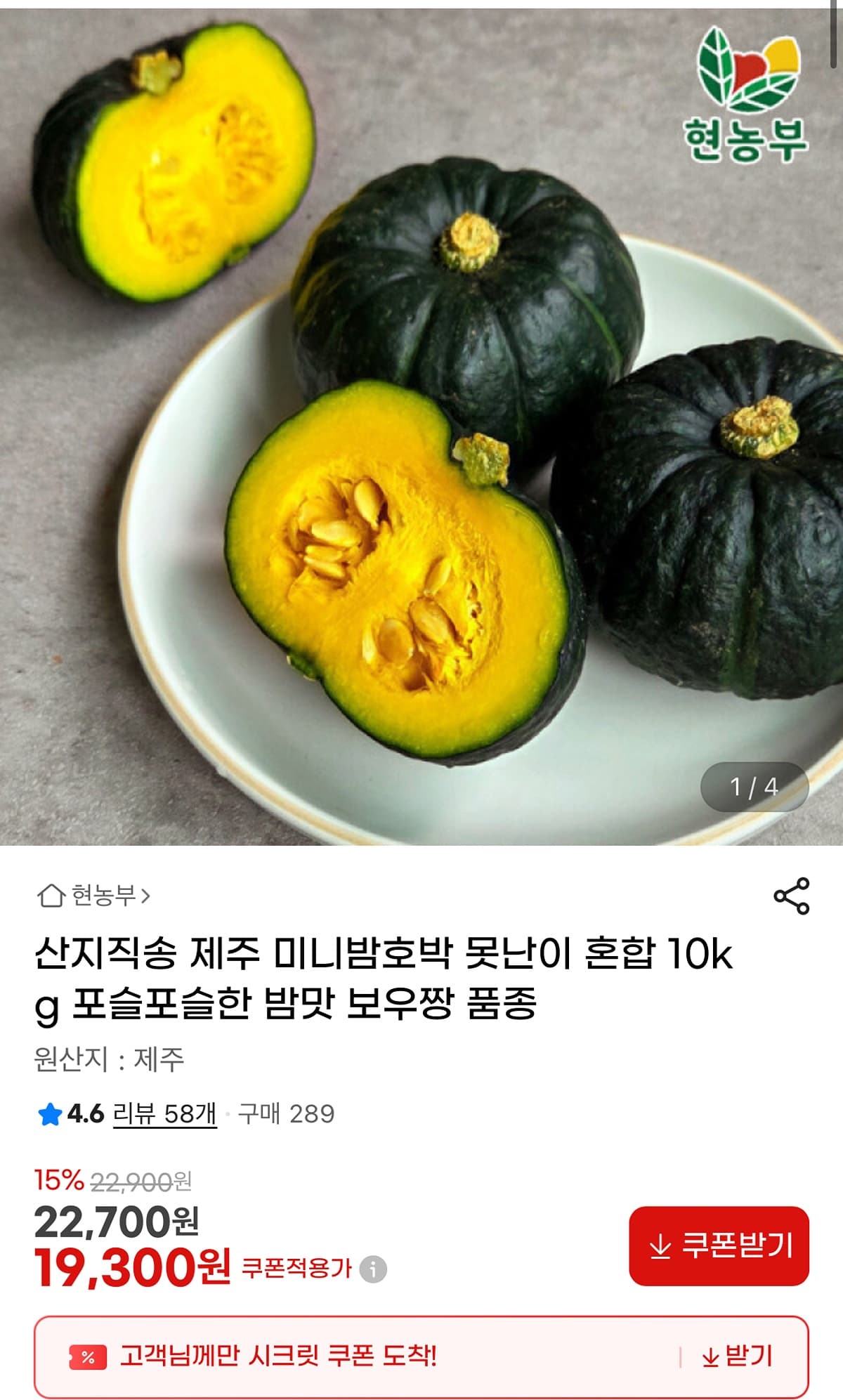 제주 미니 단호박 10kg