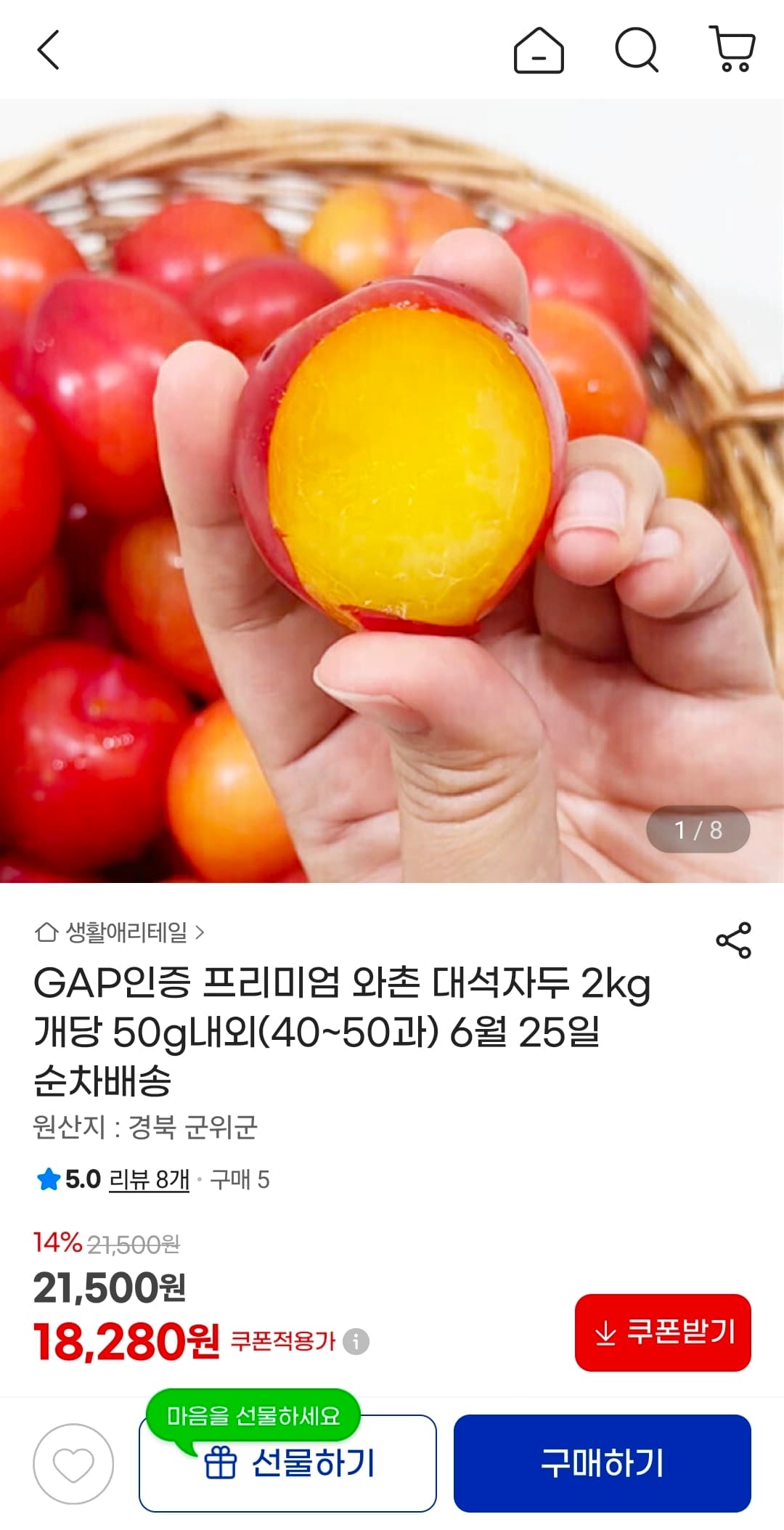 와촌 대석 자두 2kg