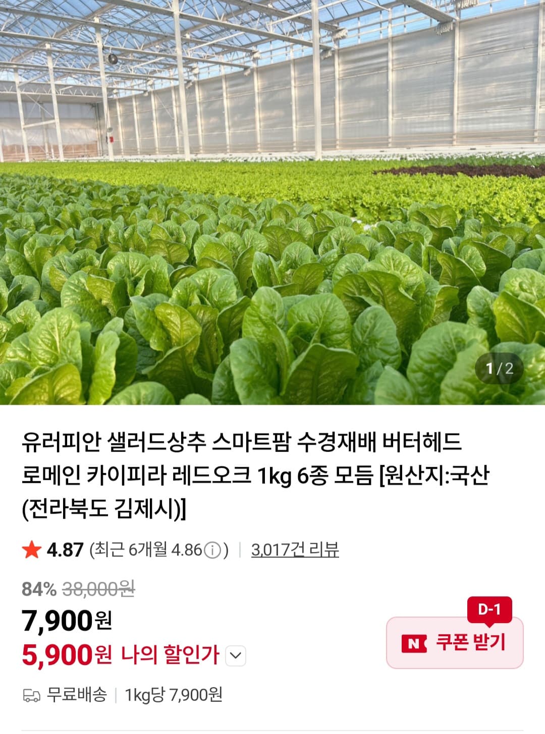 유로피안 샐러드 1kg (6종 모듬)