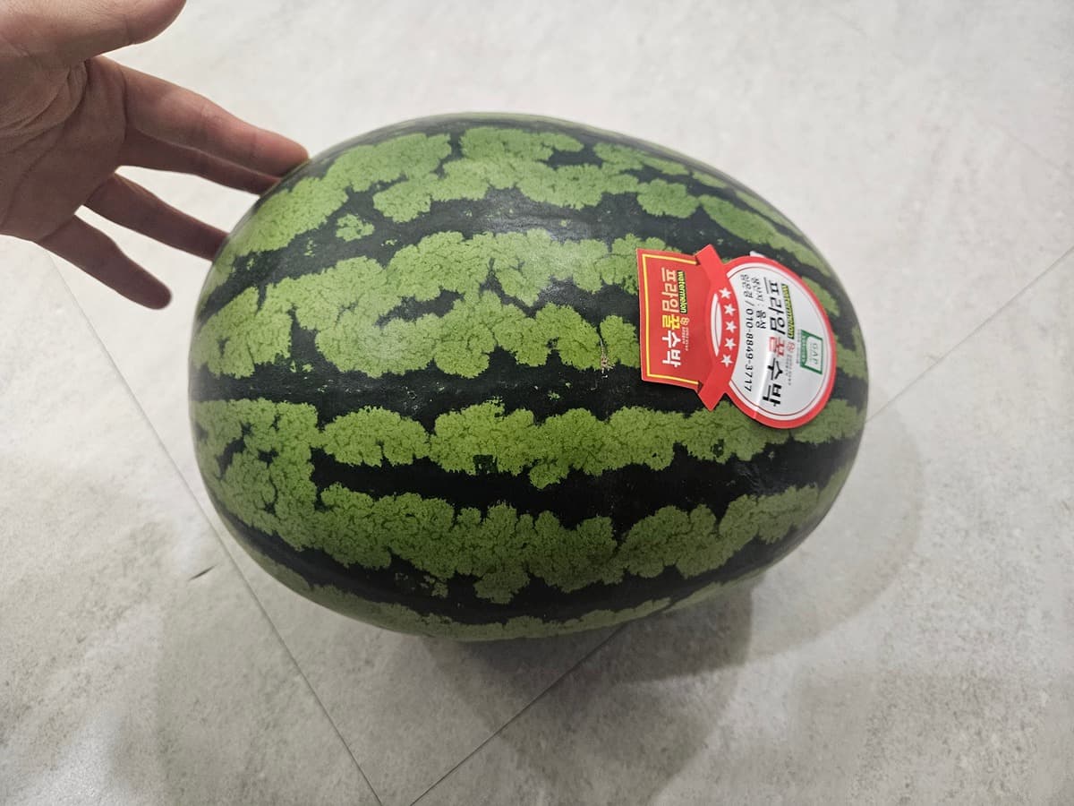 산지직송 꿀수박 7~8kg