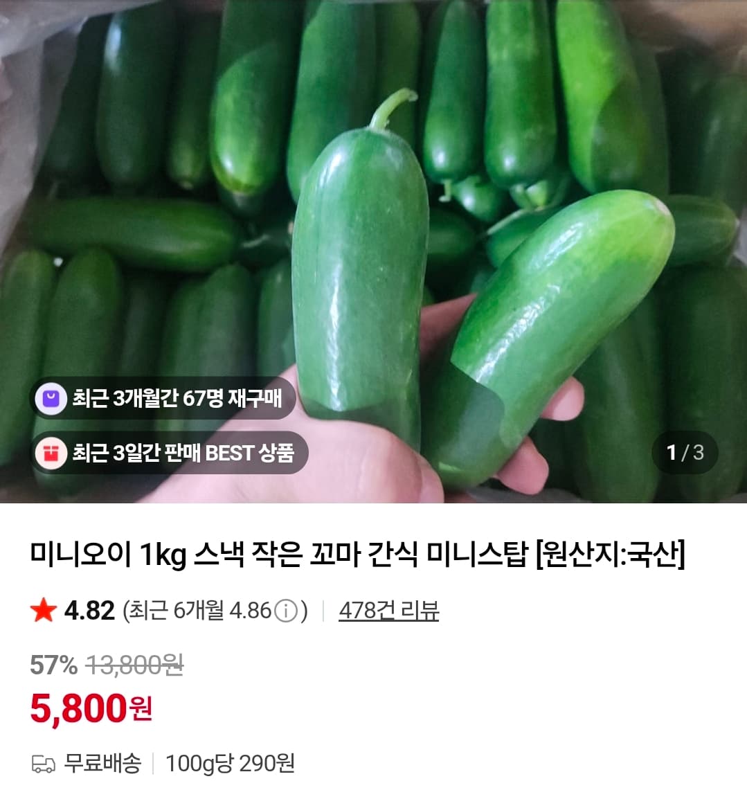국산 미니오이 1kg