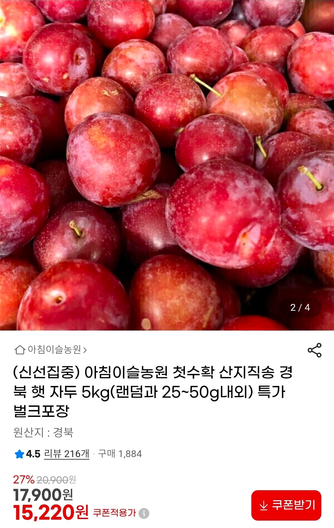 경북 햇 자두 5kg