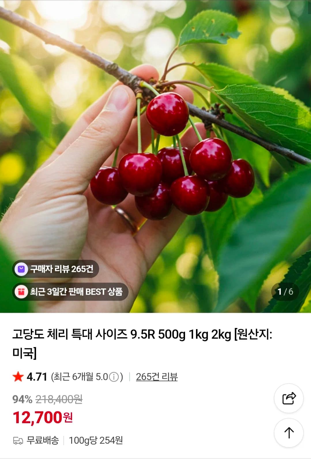 미국산 체리 9.5R 500g