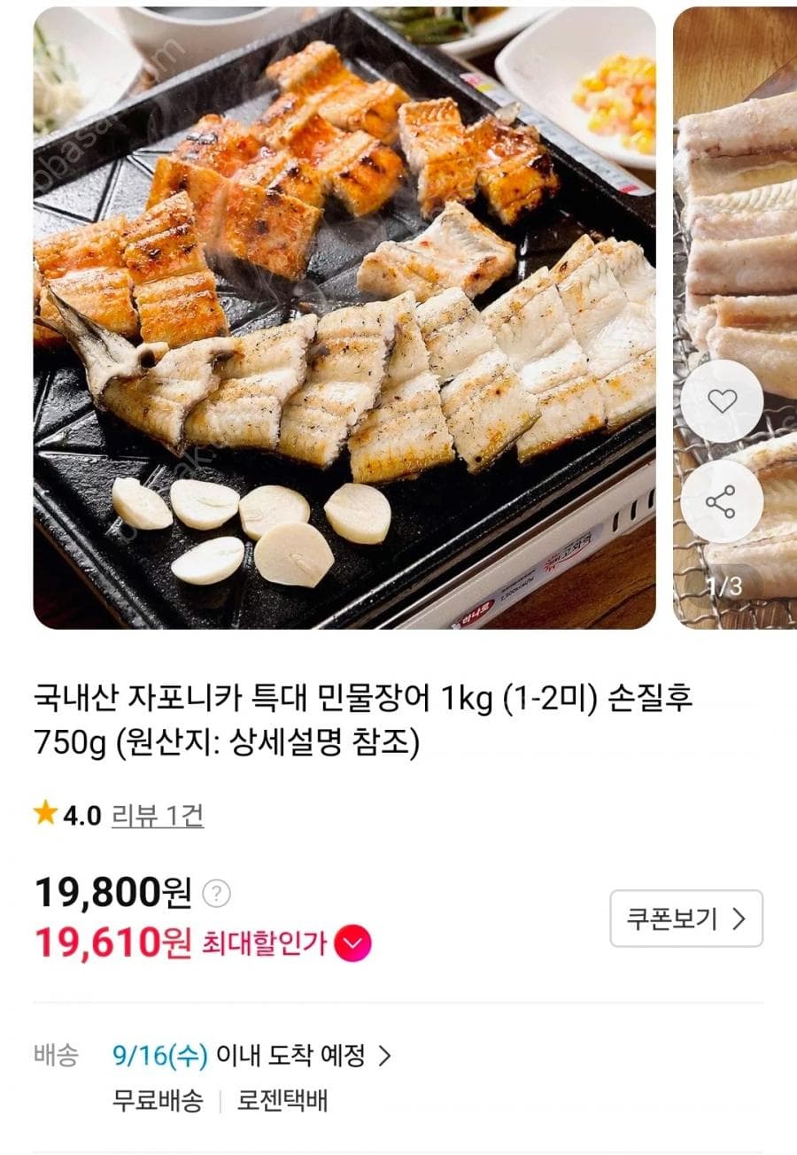 국내산 자포니카 특대 민물장어 1kg