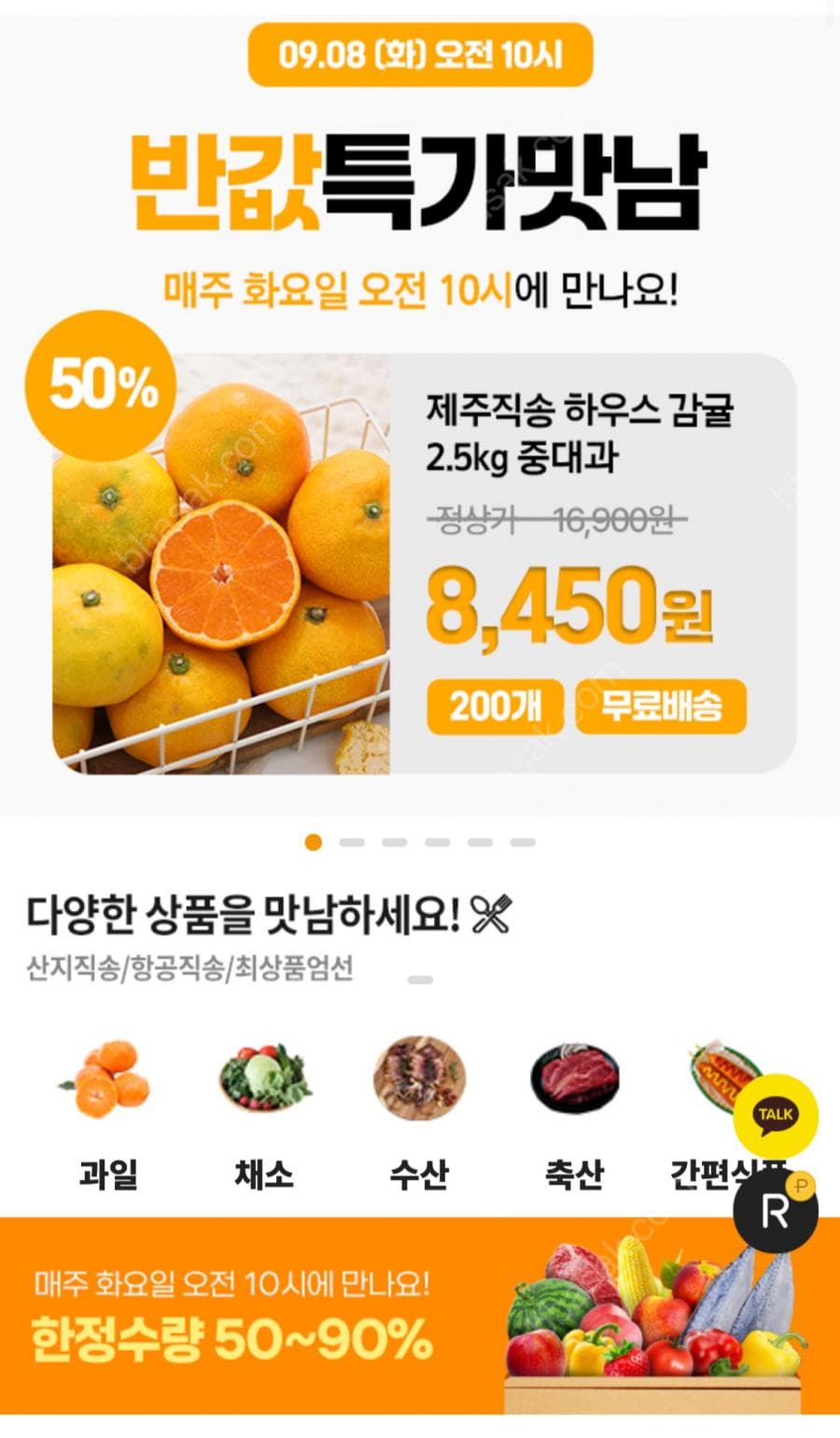 제주 중대과 감귤 2.5kg
