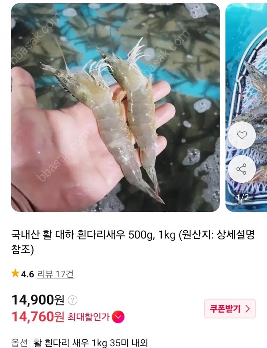 국내산 활 대하 흰다리새우 1kg