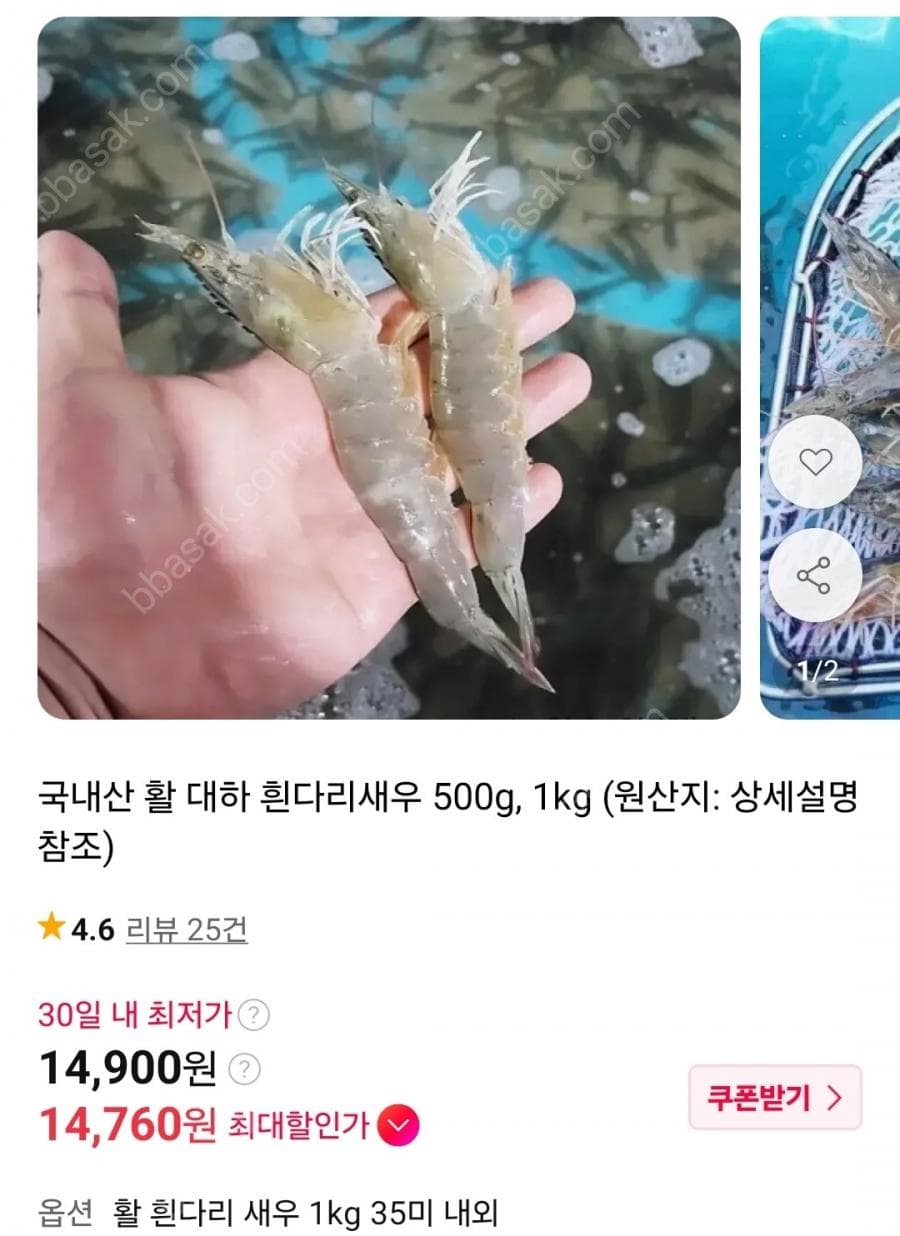국내산 활 대하 흰다리새우 1kg