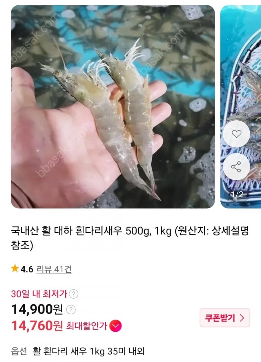 국내산 활 대하 흰다리새우 1kg