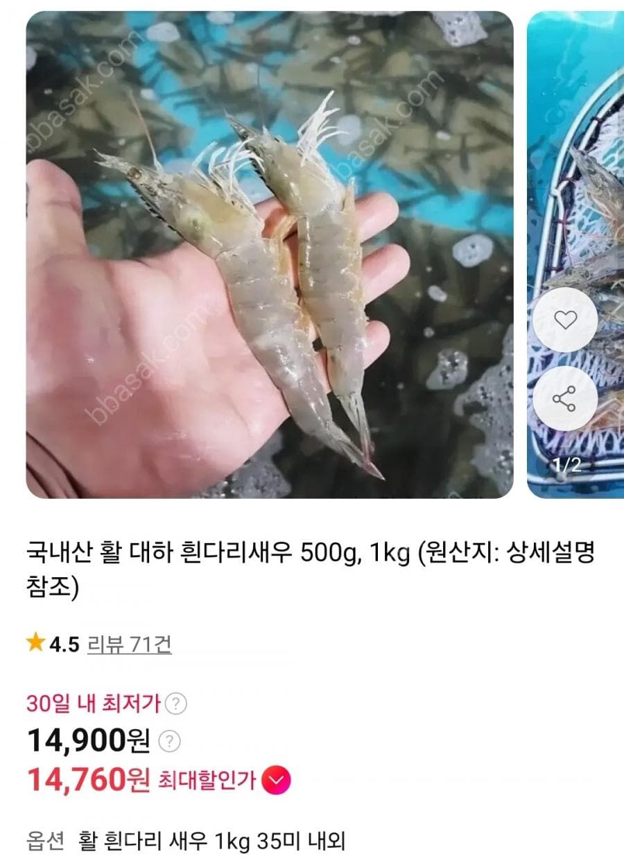 국내산 활 대하 흰다리새우 1kg