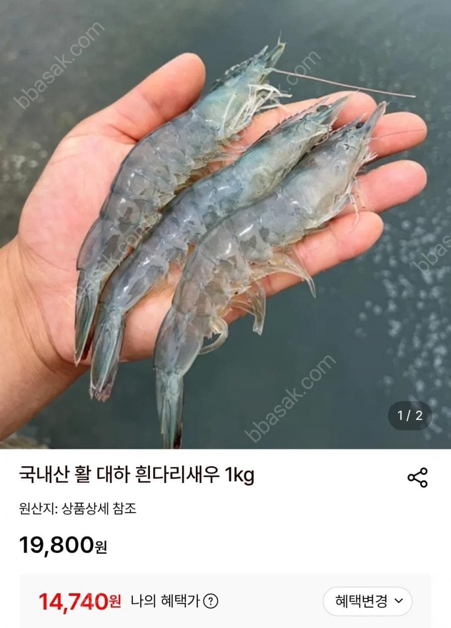 국내산 활 대하 흰다리새우 1kg