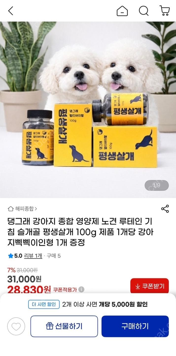 강아지 루테인 기침 슬개골 종합영양제 평생살개 100g + 사은품