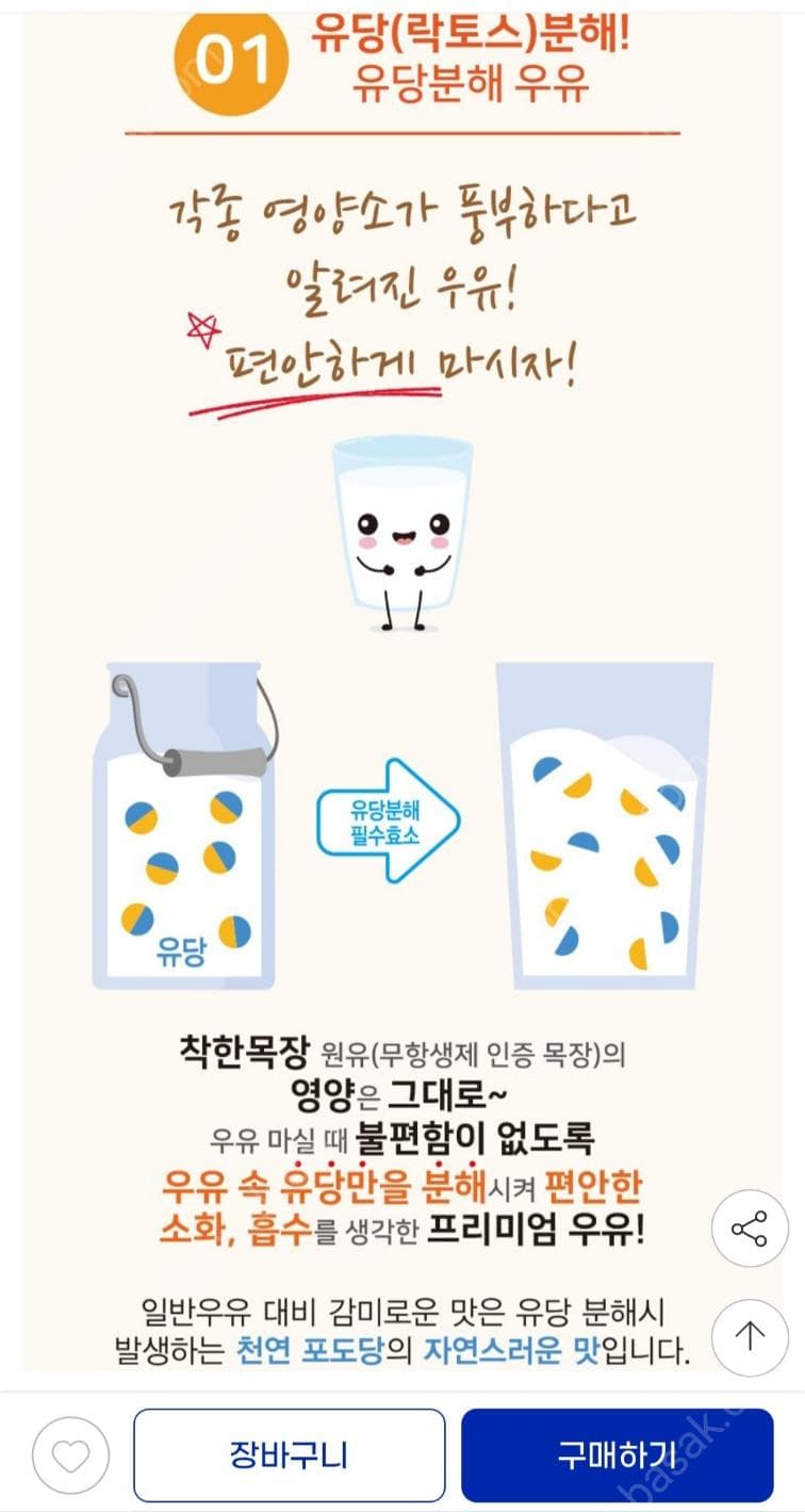 건국 착한목장 멸균우유 190ml