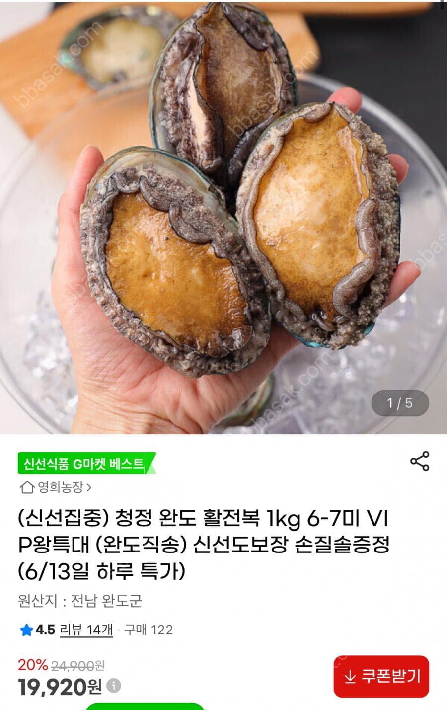 청정 완도 활전복 1kg