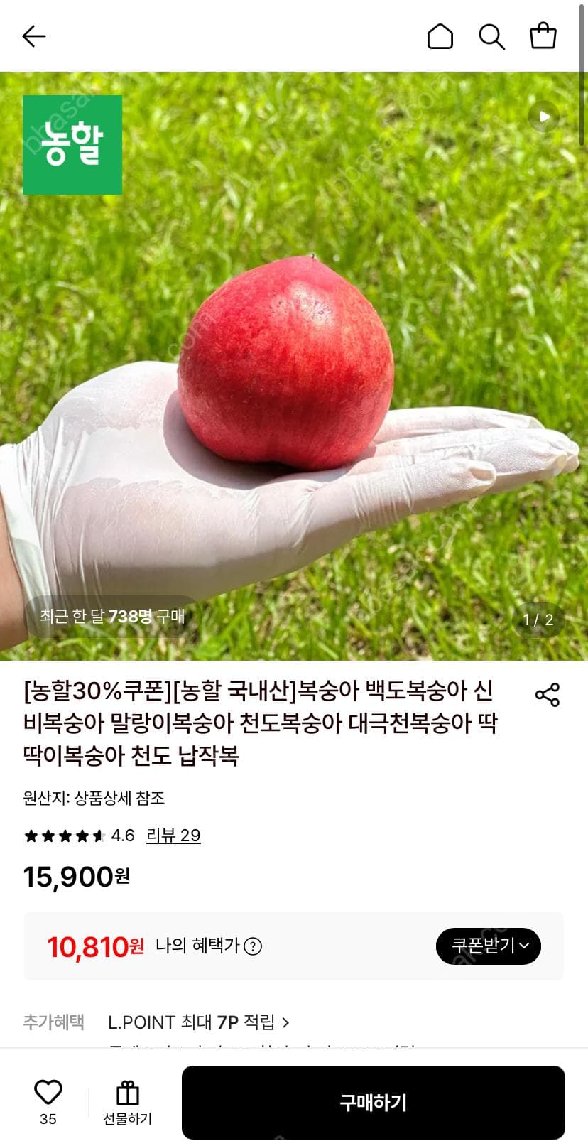 신비복숭아 2kg