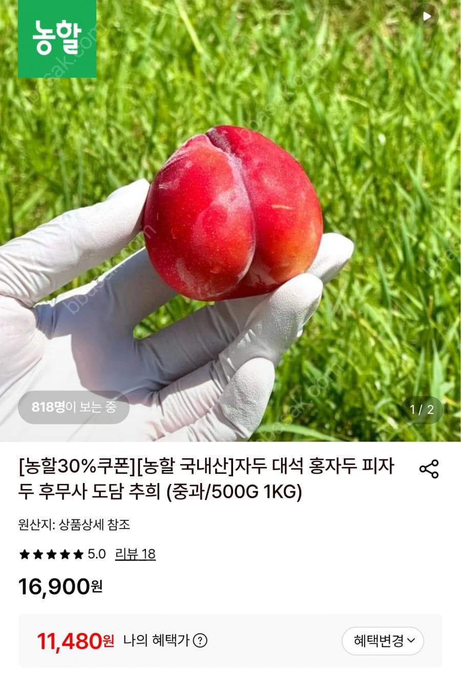 사라낙 대석 자두 1kg
