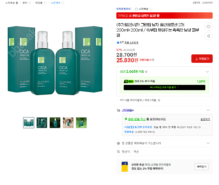 시카 그린티 남자 올인원