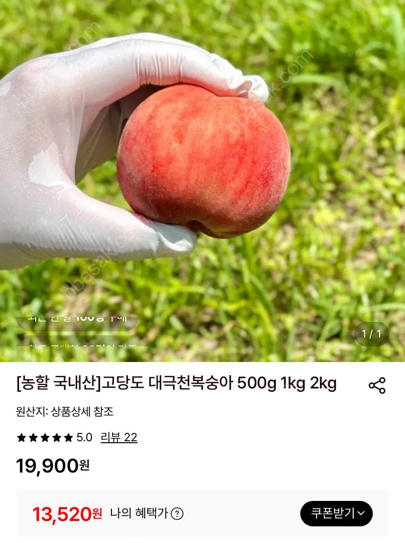 대극천복숭아 1kg
