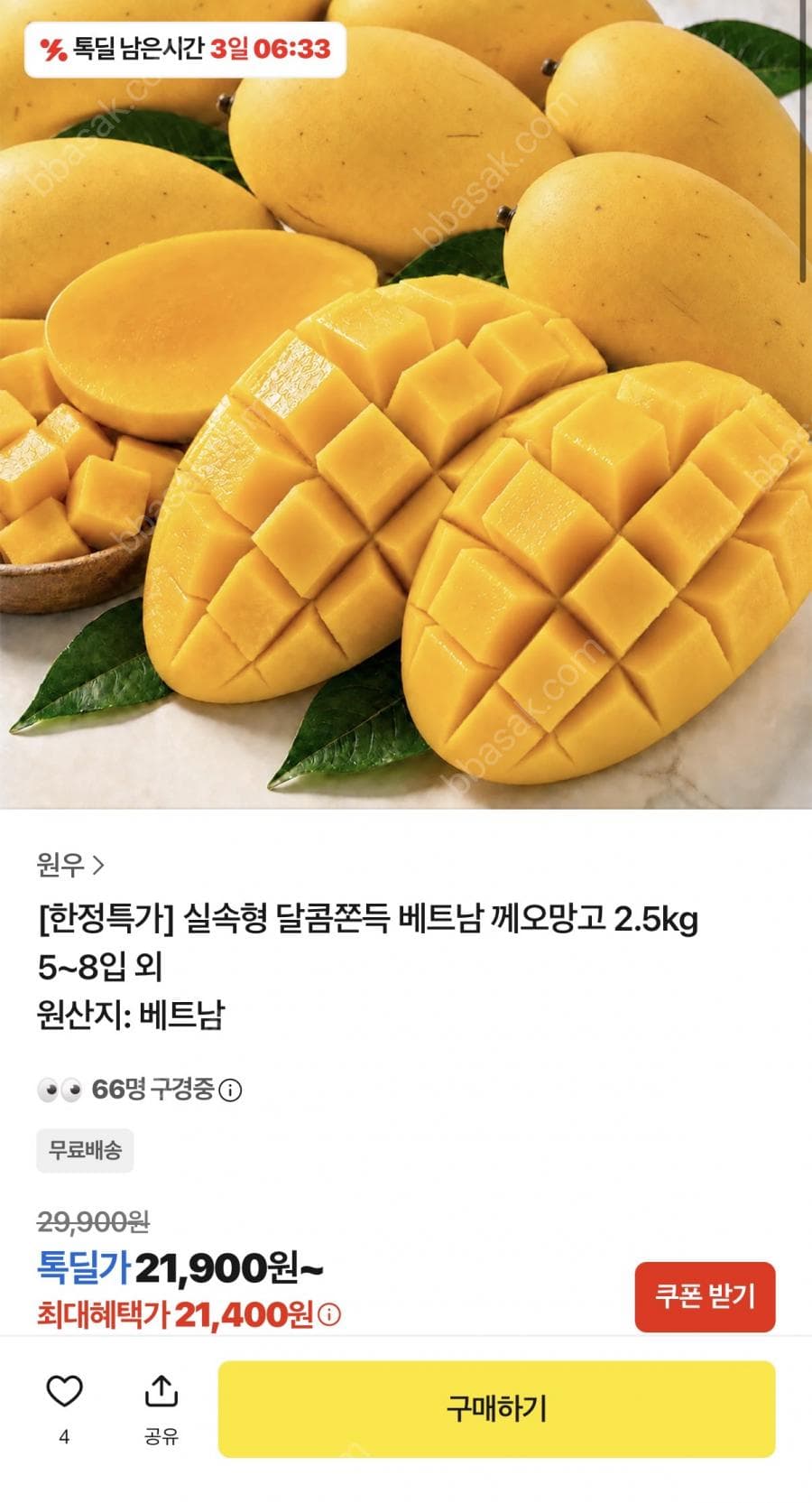 베트남 께오망고 2.5kg
