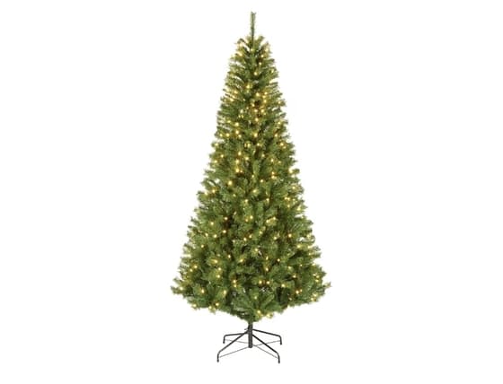 Winchester Pine Slim 7.5ft