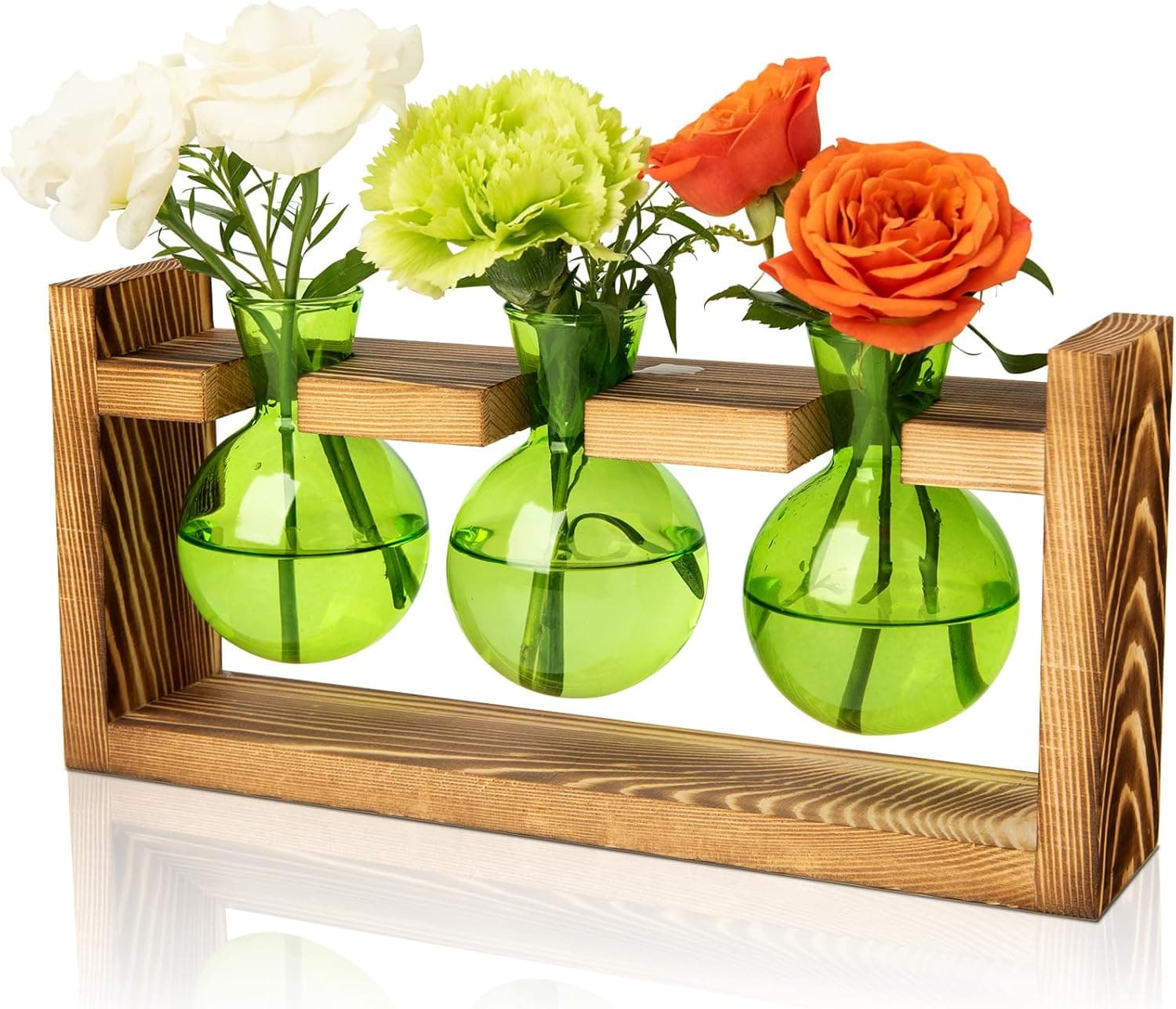 XXXFLOWER Plant Terrarium