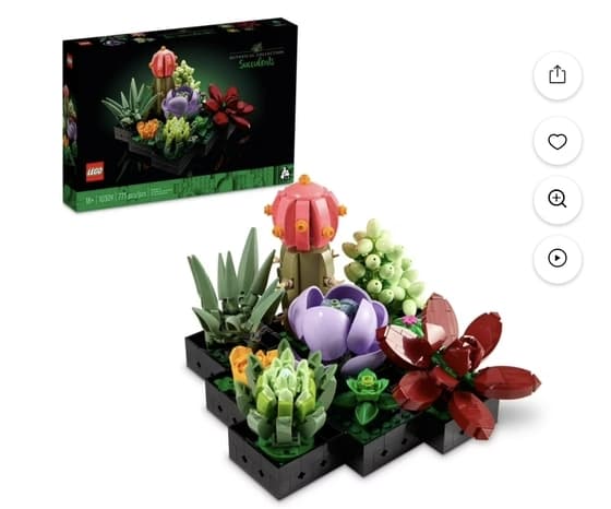 LEGO Icons Succulents