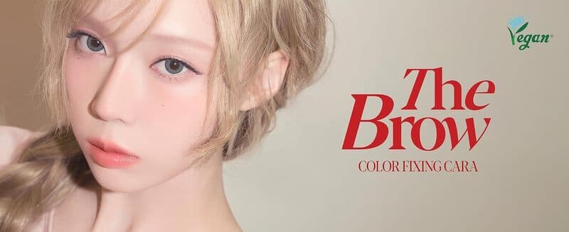 에스쁘아 더브로우 컬러 픽싱 카라