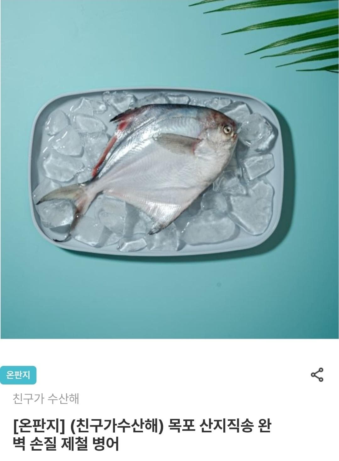 목포 제철 병어 손질