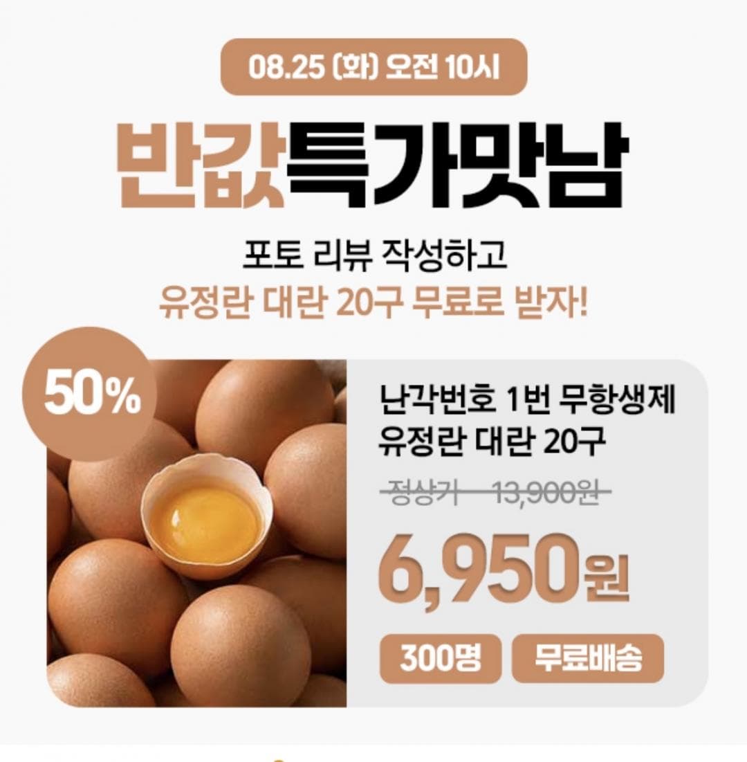 무항생제 유정란 20개