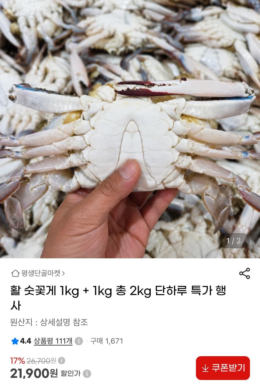 활 숫꽃게 2kg