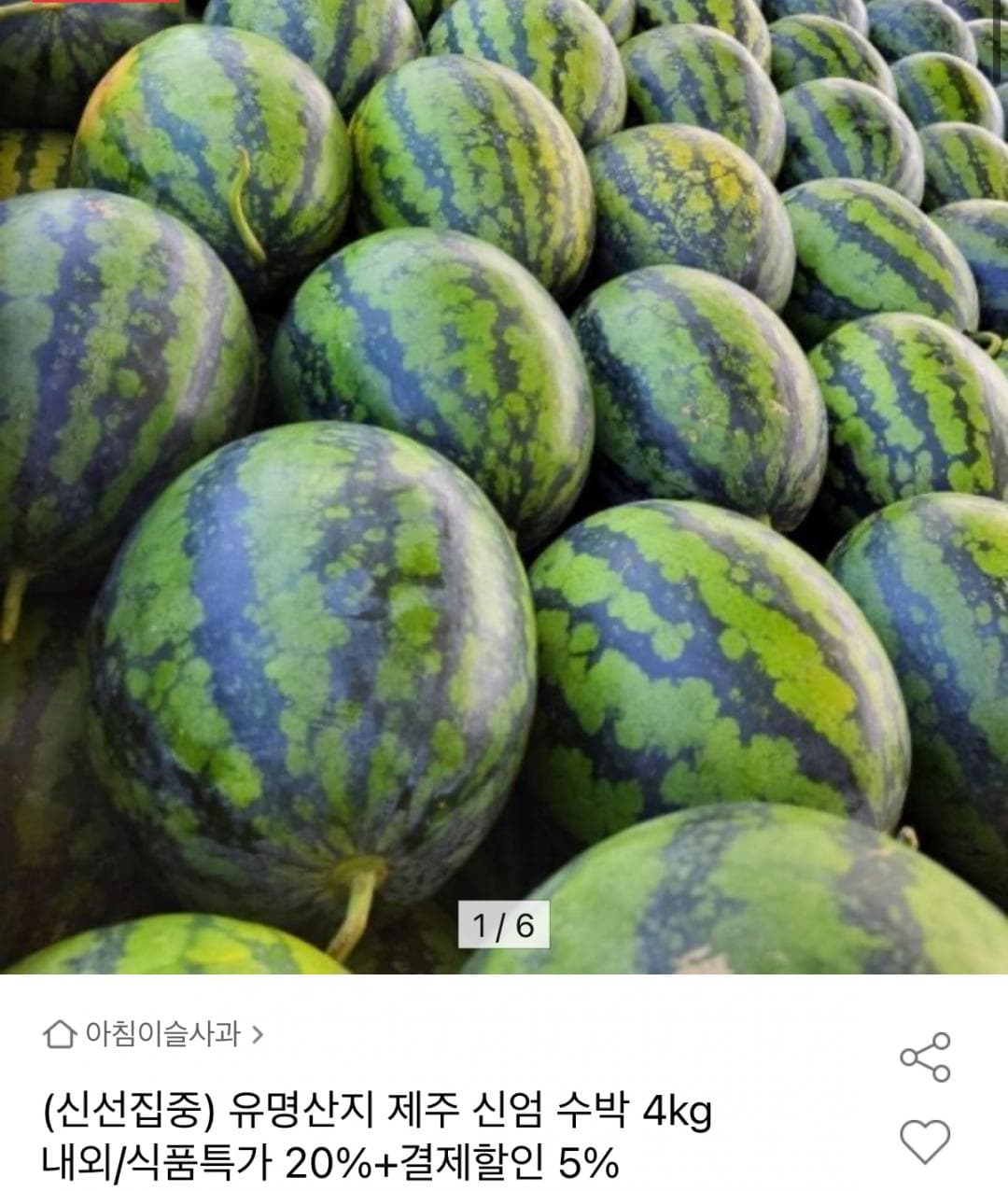 Jeju Watermelon ~4kg