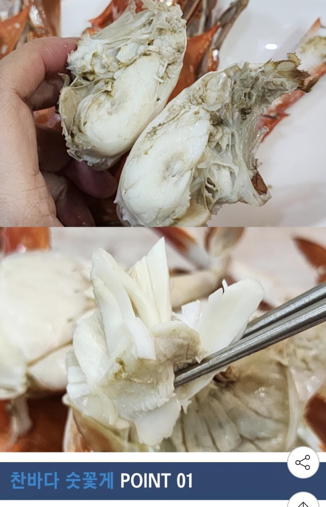국내산 숫꽃게 2kg