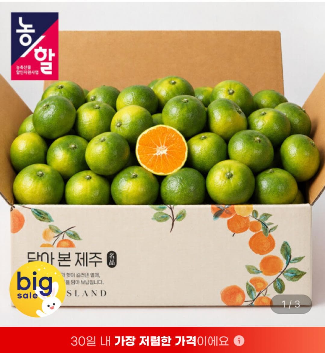 제주 햇조생 감귤 로얄과 2.5kg