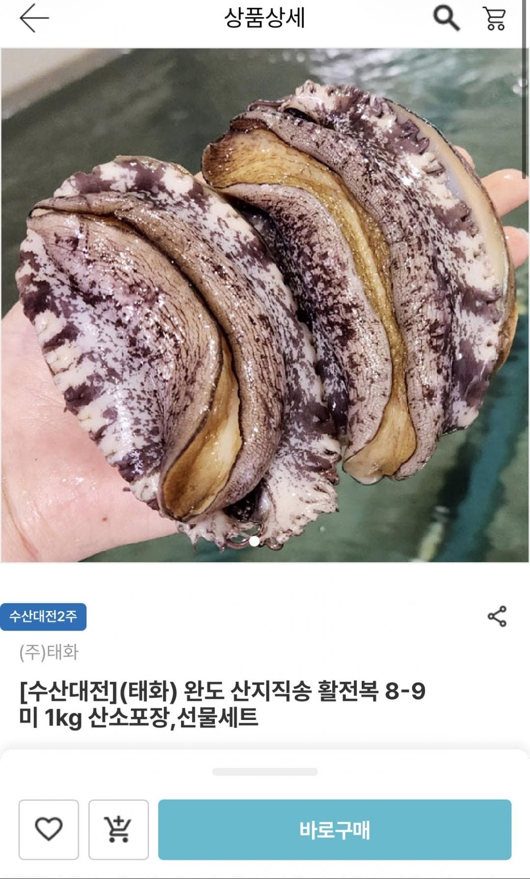 완도 산지직송 활전복 1kg 8-9미