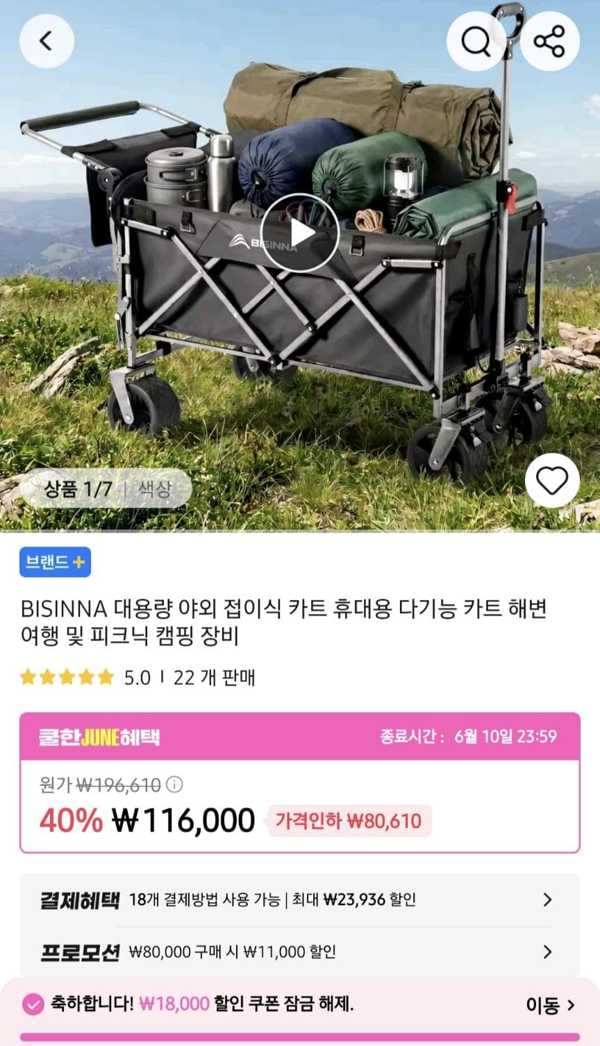 BISINNA 접이식 캠핑카트