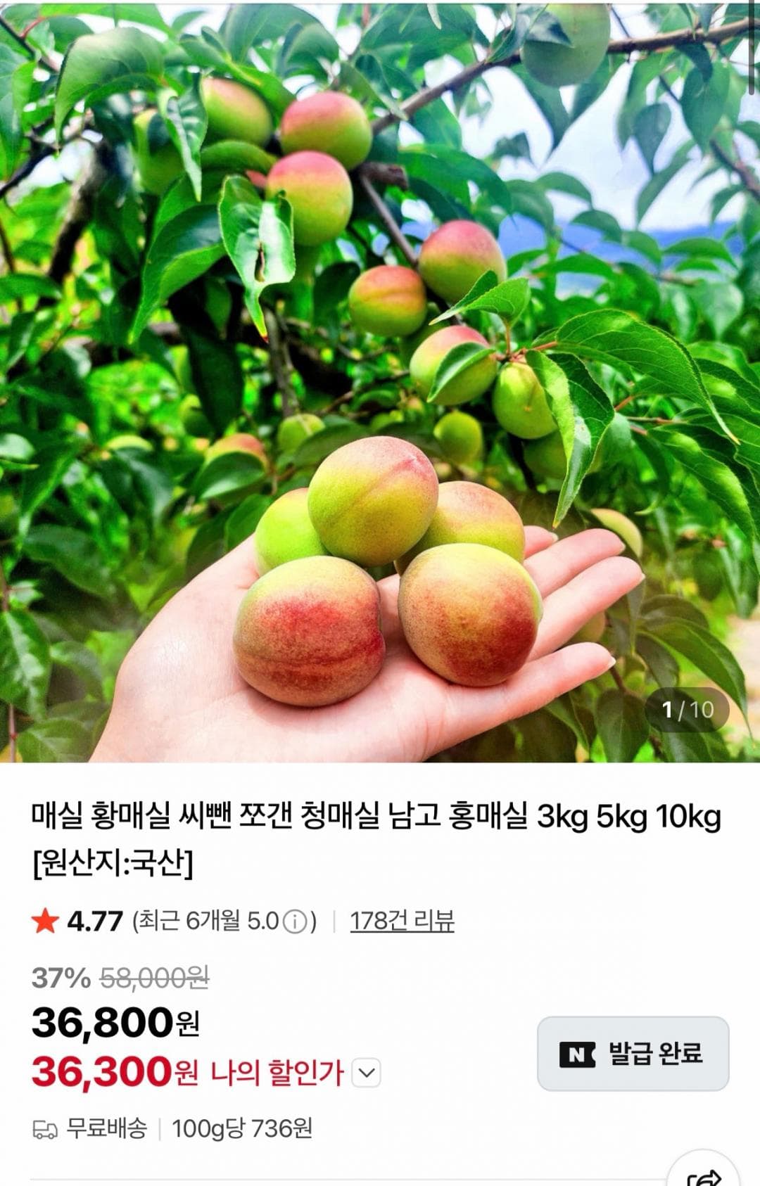 황매실 5kg