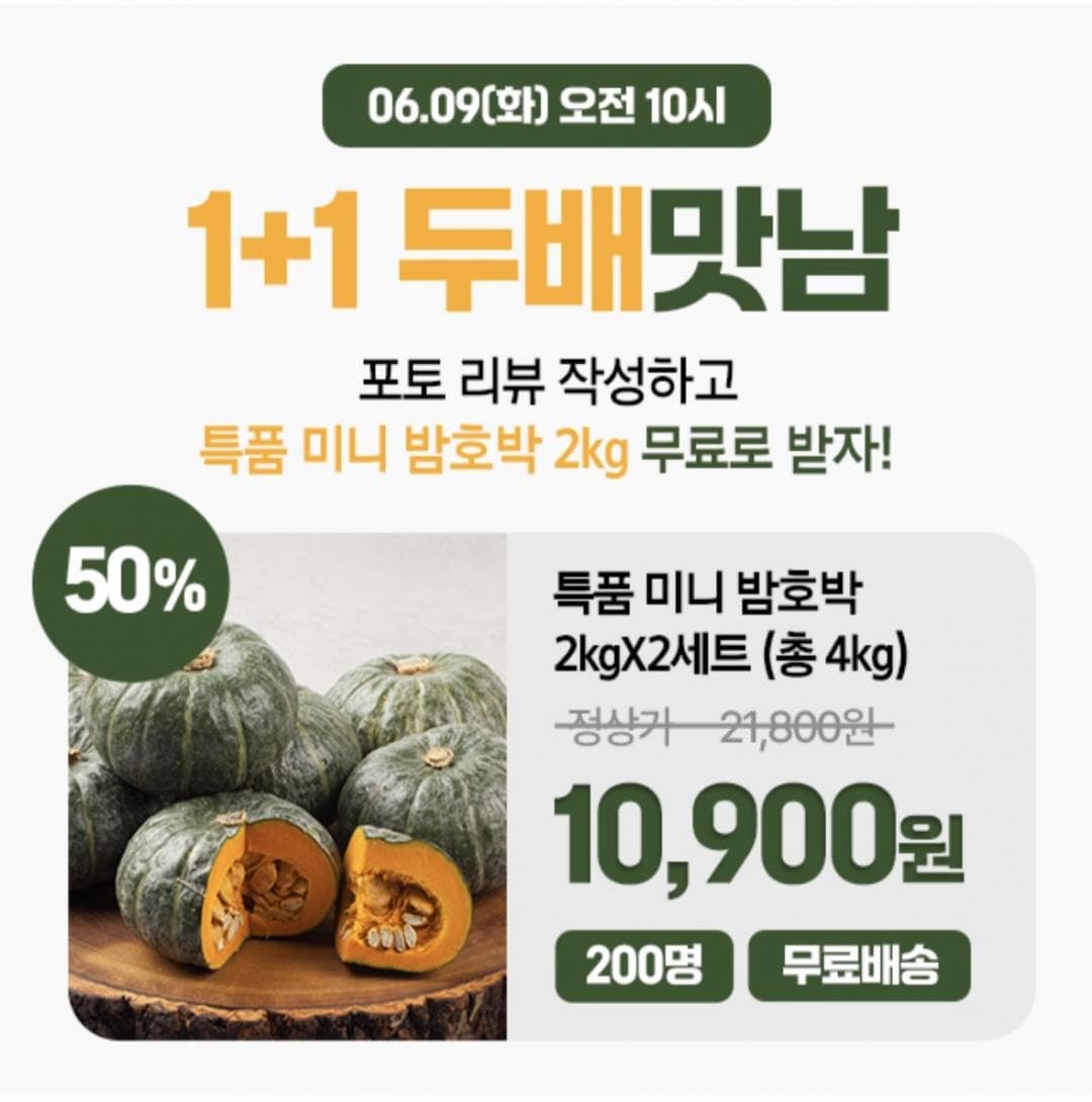 미니 밤호박 4kg