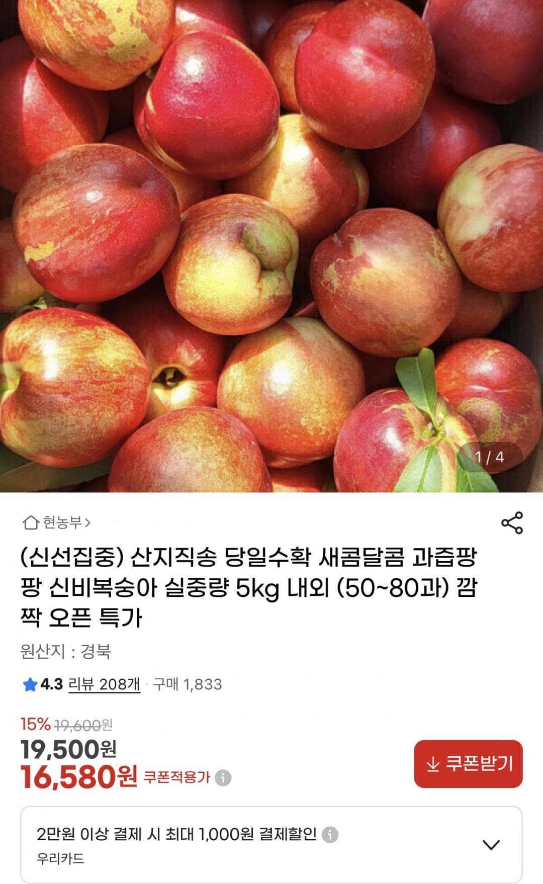 신비복숭아 5kg