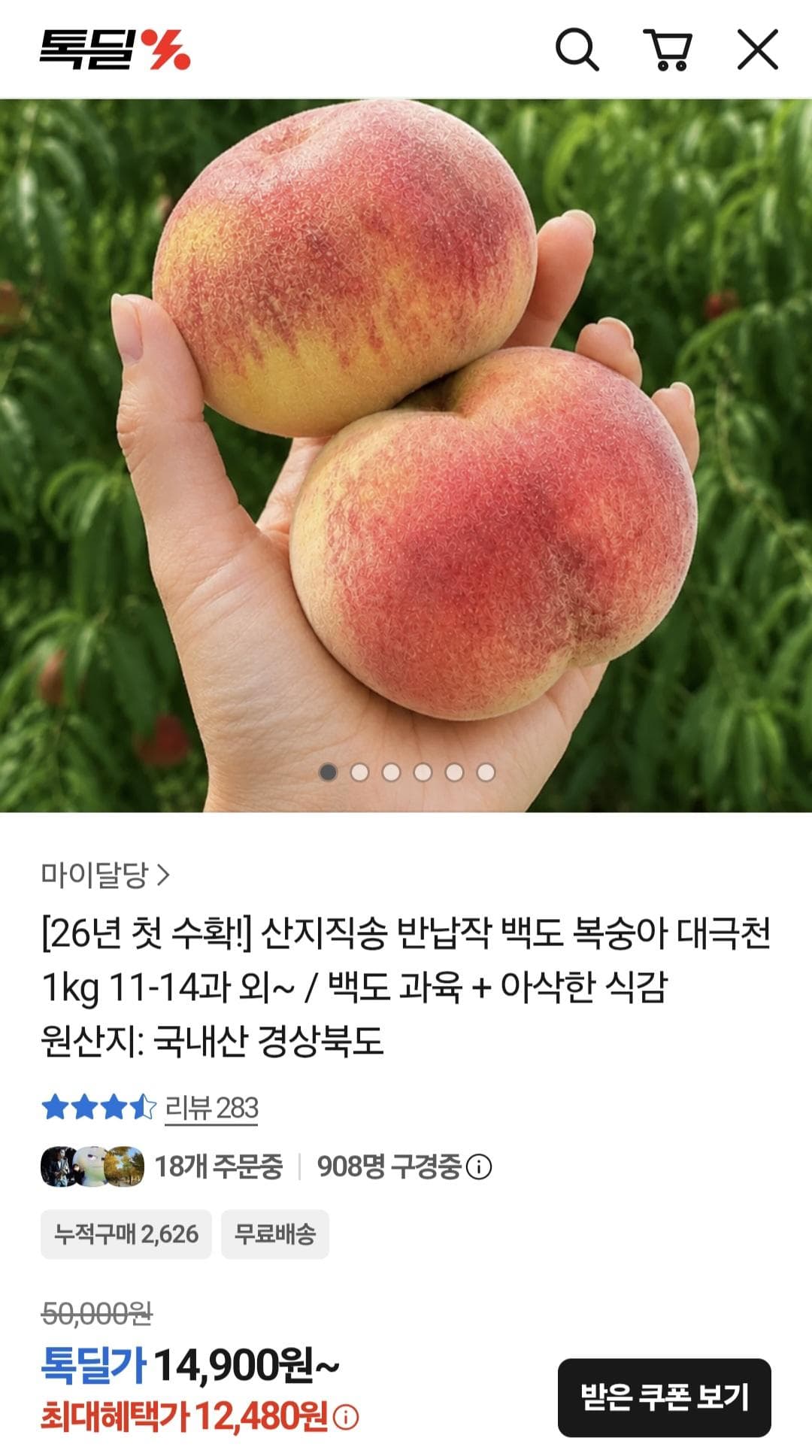 대극천 백도 반납작 복숭아