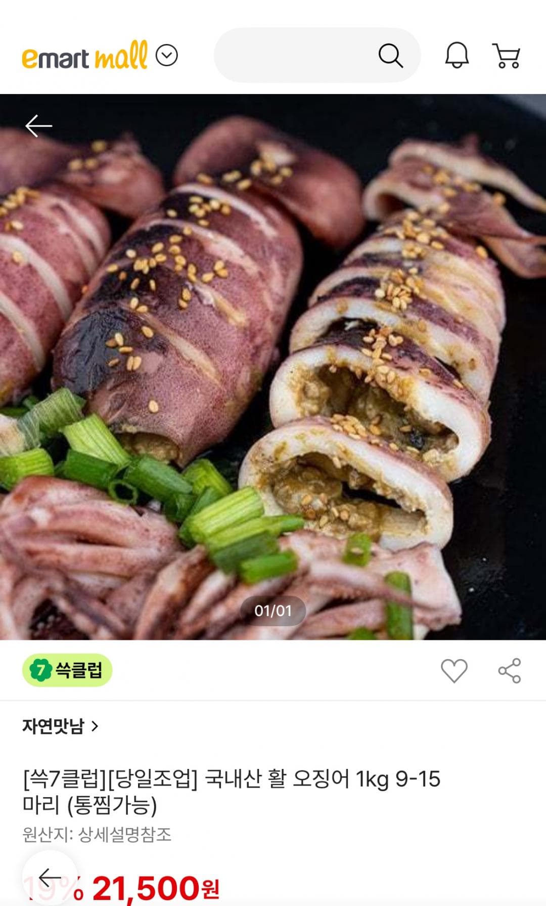 국내산 활 오징어 1kg