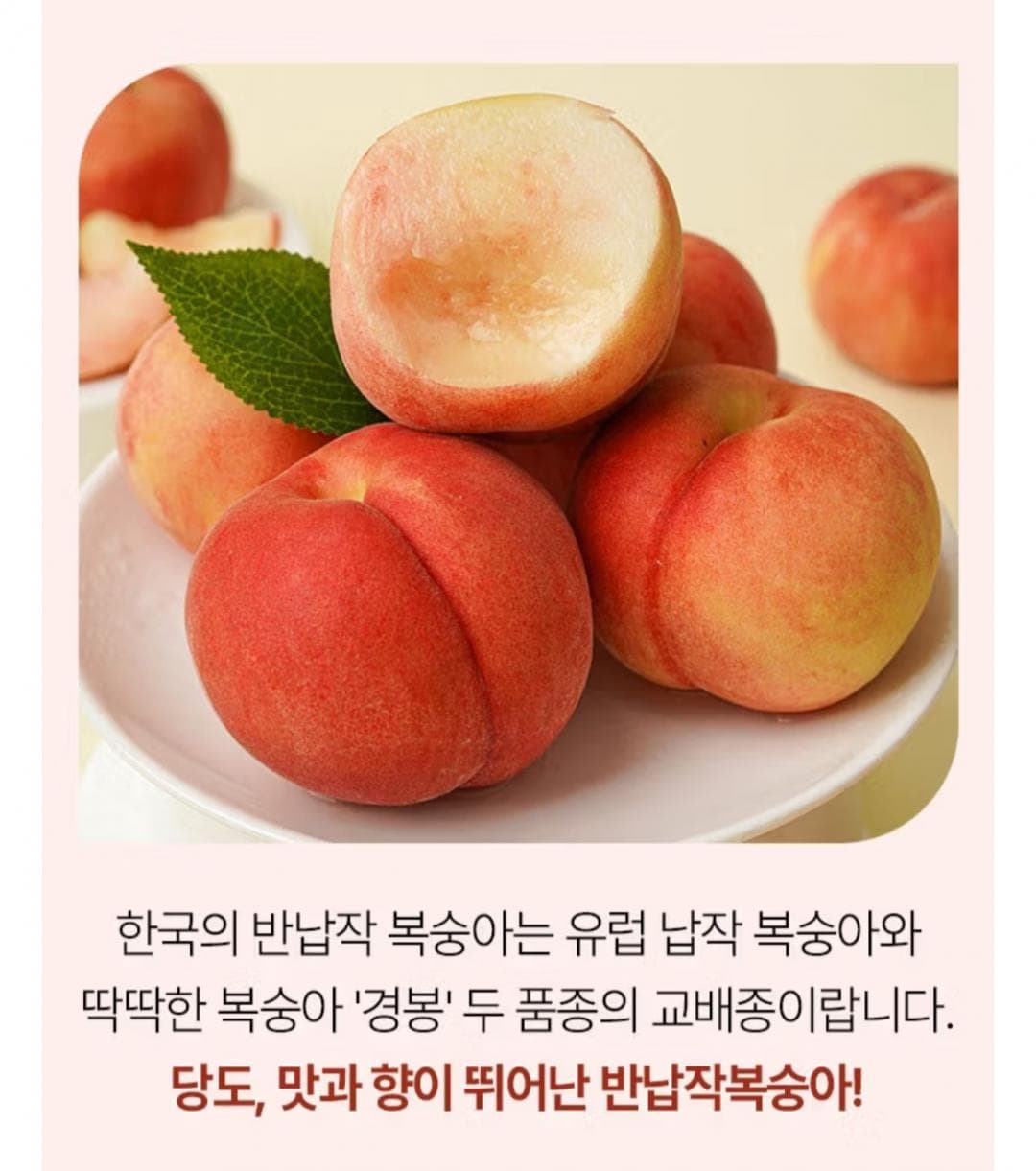 대극천 복숭아 1kg