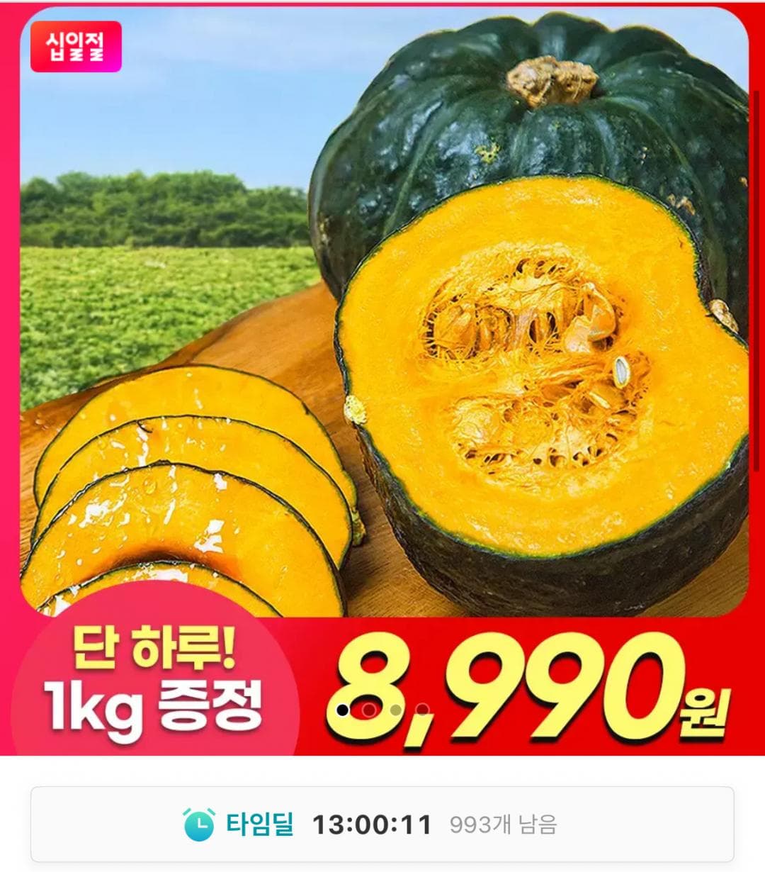제주 미니 밤호박 3kg