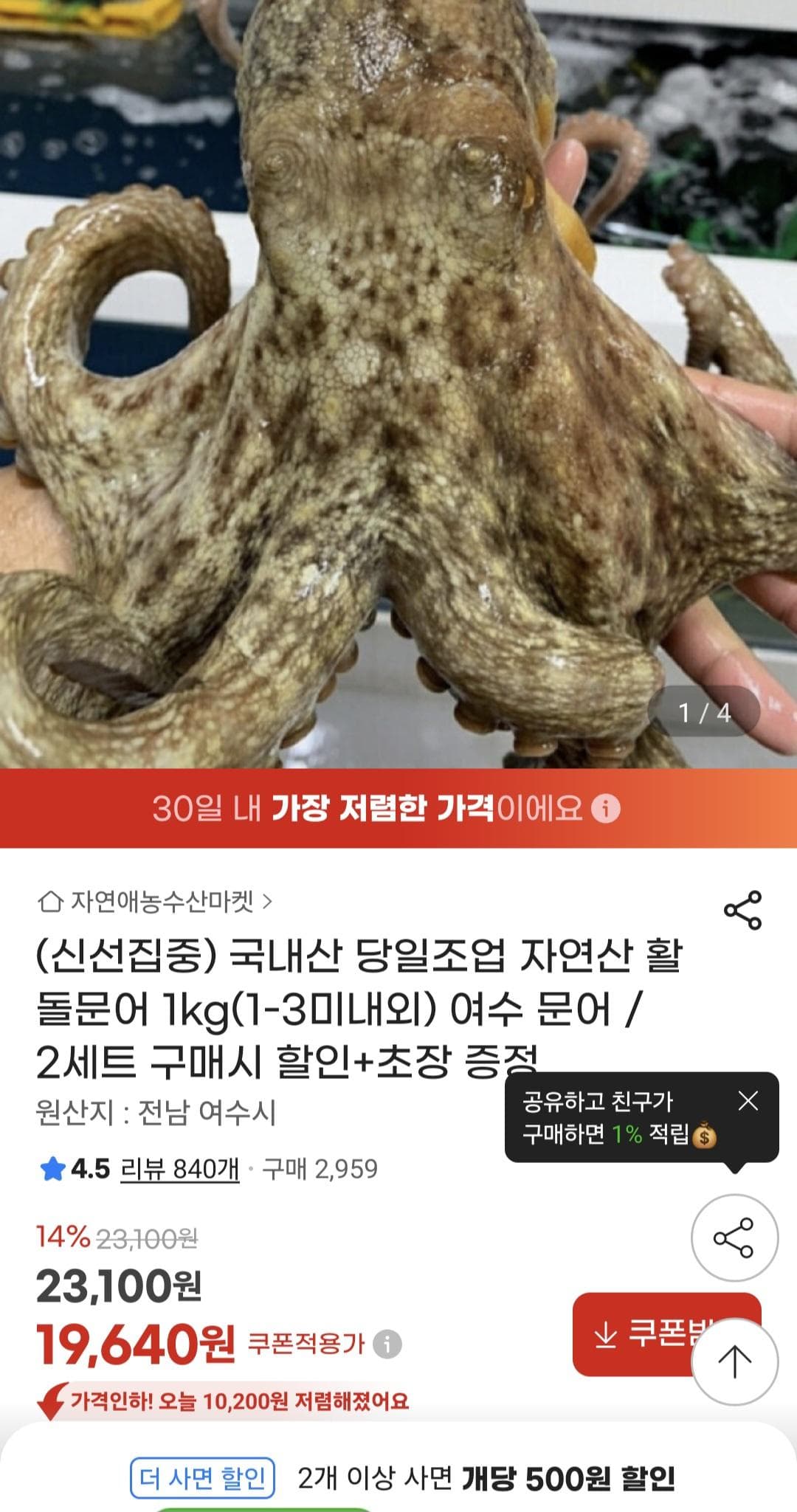 국내산 당일조업 돌문어 1kg