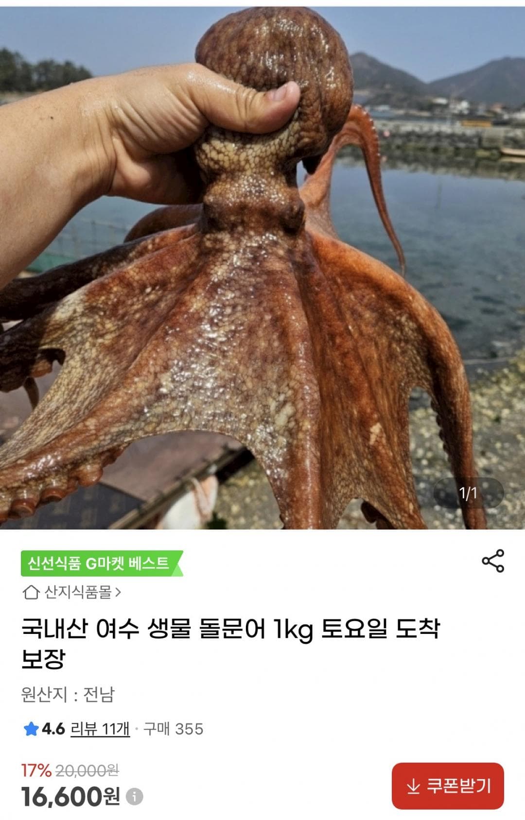 여수 생물 돌문어 1kg