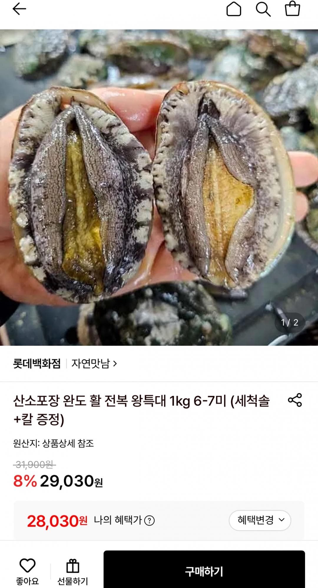 완도 활전복 왕특대 1kg
