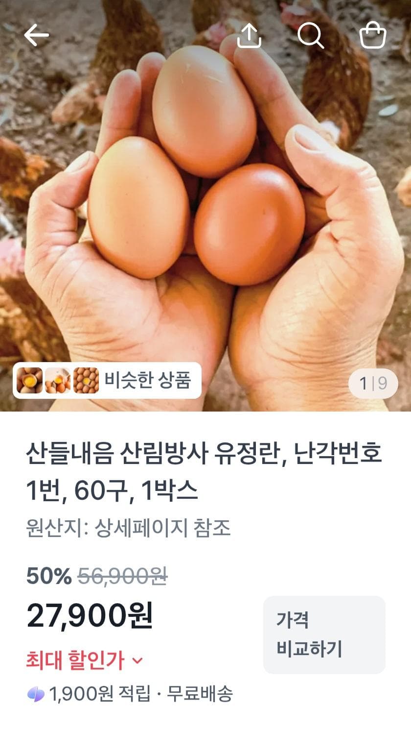 산림방사 무항생제 유정란 60구