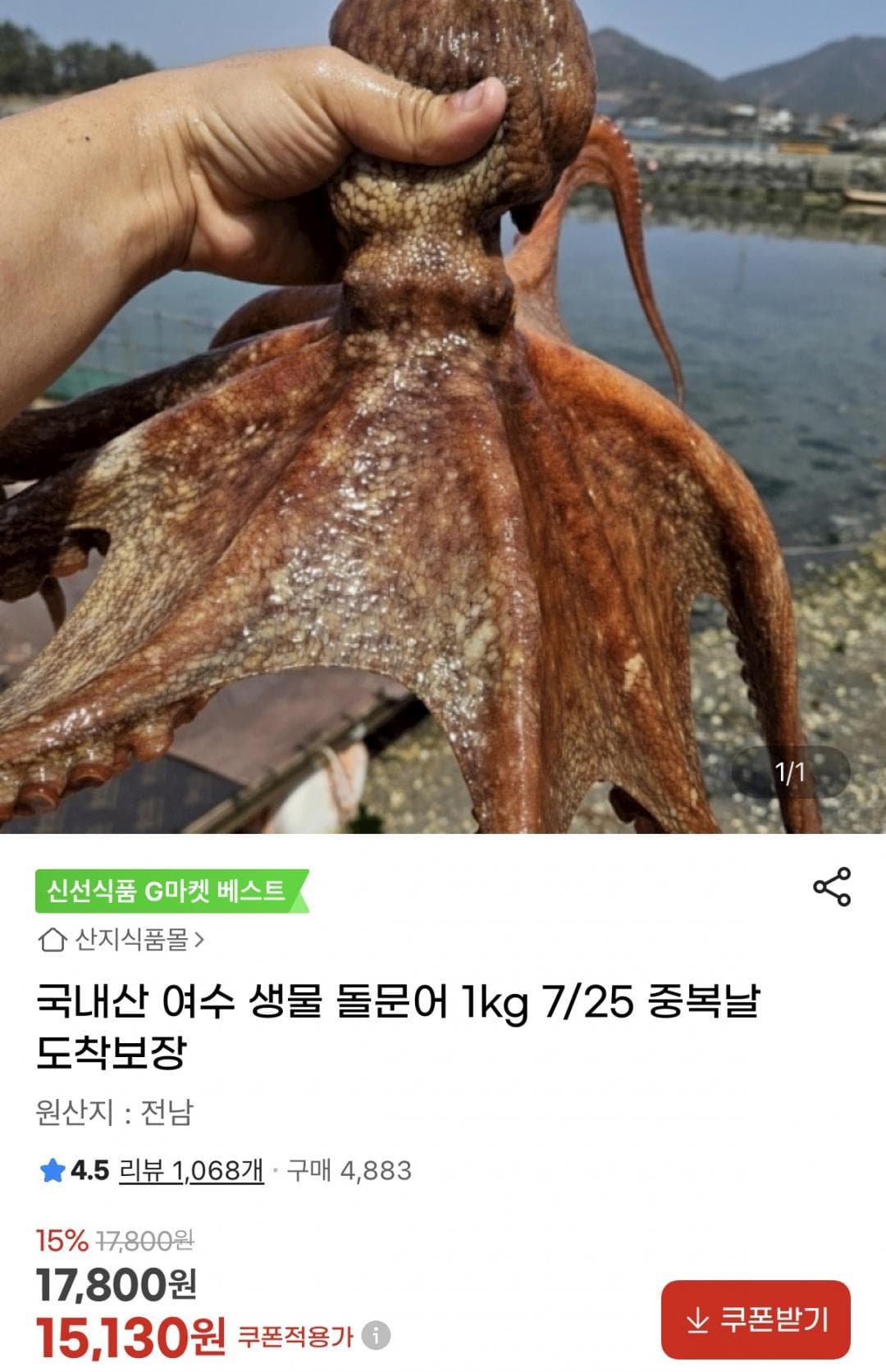 여수 생물 돌문어 1kg
