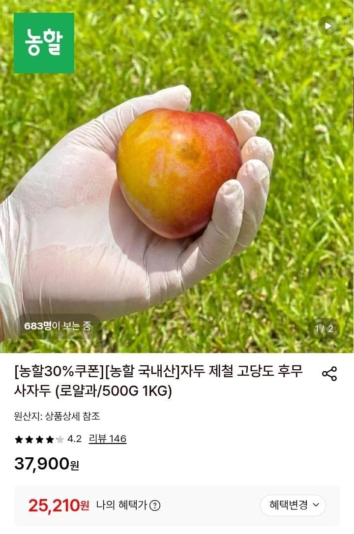 후무사 자두 로얄과 2kg