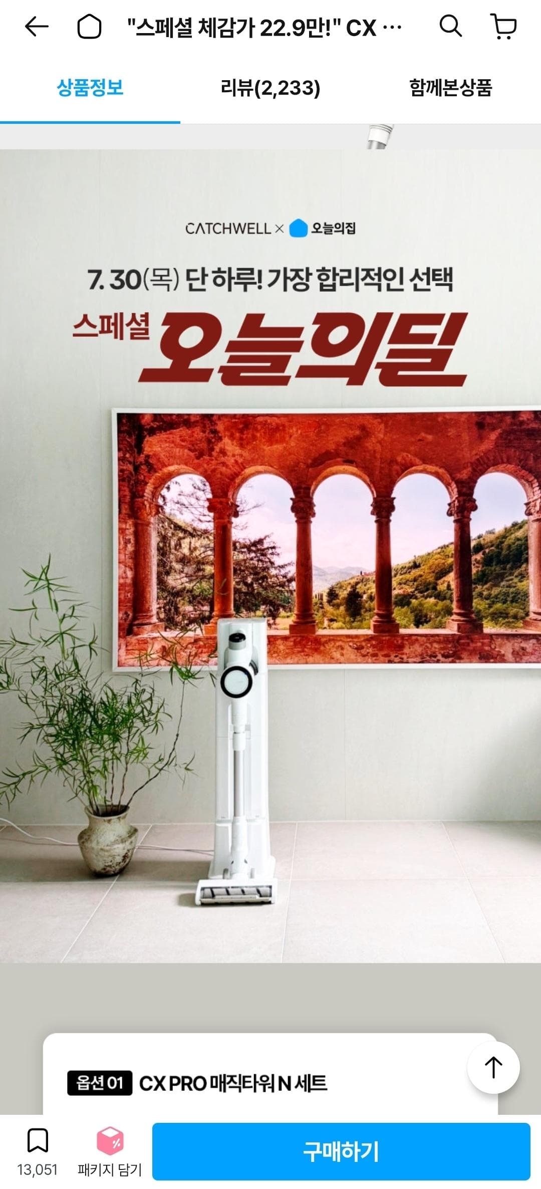 CATCHWELL CX PRO N 무선청소기